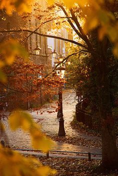 27 Autumn In The City ideas | beautiful places, city, scenery