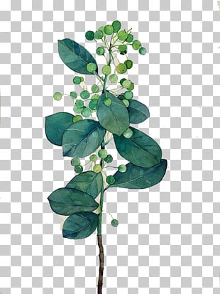 Watercolor painting Green, Watercolor flowers, green plant painting PNG clipart | free cliparts | UIHere