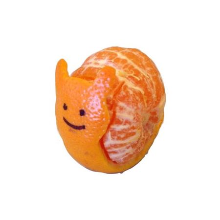 tangerine snail