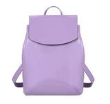 Design Pu Women Leather Backpacks School Bag Student Backpack Ladies W – iuly.com