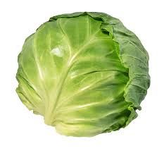 cabbage - Google Search