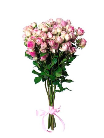 кустовые розы розовые: 10 тыс изображений найдено в Яндекс.Картинках