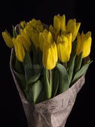 yellow tulips bouquet wrapped in paper stock - Google Search