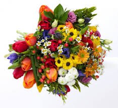 bouquet of wildflowers png - Google Search