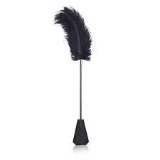 bdsm feather - Google Search