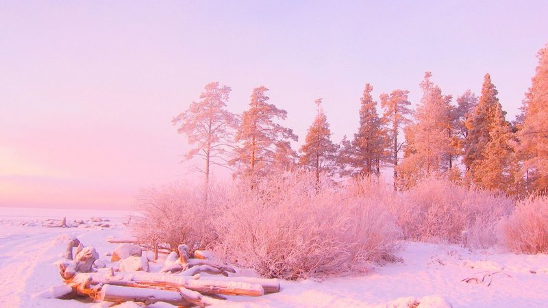 Hd Light Pink Backgrounds Background Photos 1080p Smart