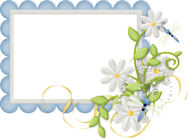 Cute Large Design Blue Transparent Frame with Daisies​ | Gallery Yopriceville - High-Quality Images and Transparent PNG Free Clipart