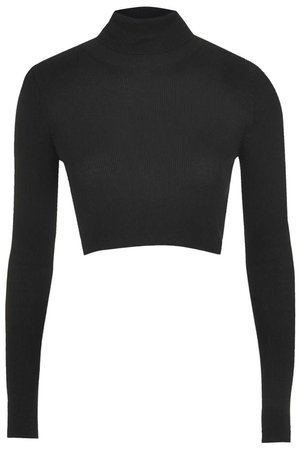 Ribbed Roll Neck Crop Top