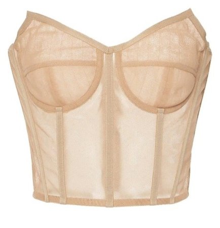 Dolce & Gabbana Sheer Strapless Bustier Tulle Top