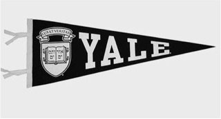 Yale Flag