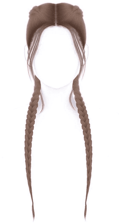 dark brown hair braids