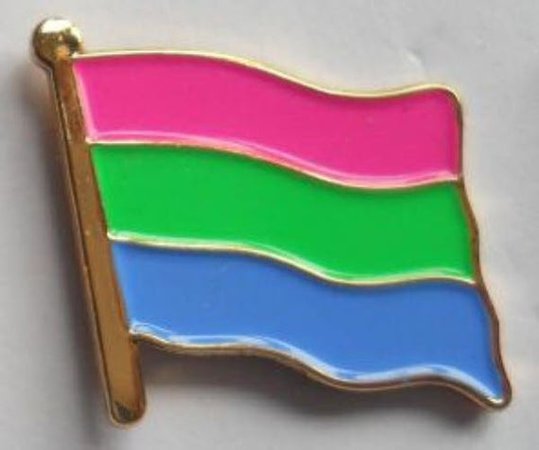 Polysexual Pride Flag Enamel Pin Badge | Etsy