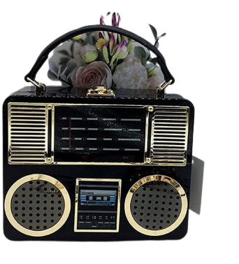 radio purse Amazon find