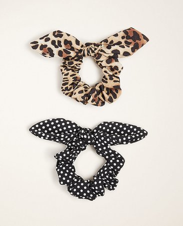 Cheetah Print Bow Scrunchie Set | Ann Taylor