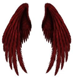 Pinterest (Pin) (29) wings x