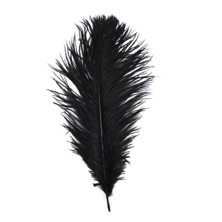 black feather - Google Search