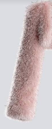 fur jacket from finesse