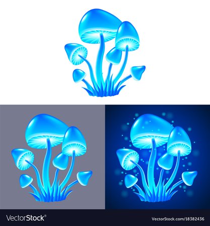 Magic mushrooms isolated Royalty Free Vector Image