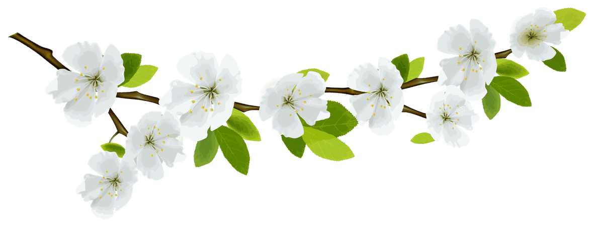 flowers png - Cerca con Google