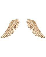 Amazon.com: A N KINGPiiN Metal Golden Angel Wings with Hanging Chain Lapel Pin, Brooch Suit Stud, Shirt Studs Men's Accessories: Clothing