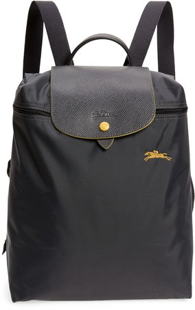 Le Pliage Large Backpack