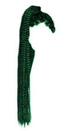 green braids