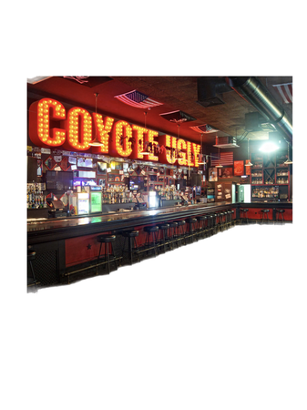 Coyote Ugly salon bar background travel