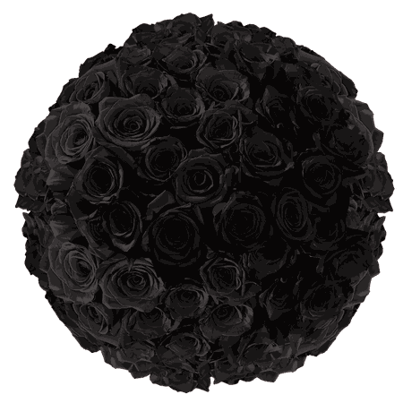 Black Roses | GlobalRose