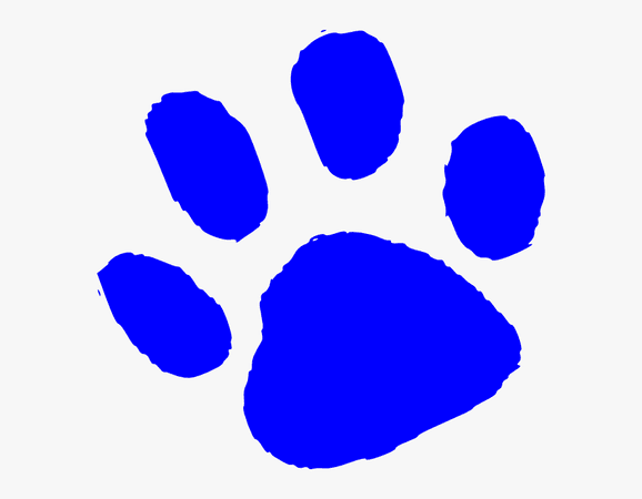 Tiger Print Clipart Bear - Blue Tiger Paw Print, HD Png Download - kindpng