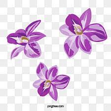 tropical flower purple ong - Google Search