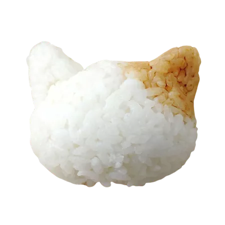 rice cat
