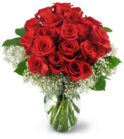 Two Dozen Red Roses - Montgomery, AL Florist