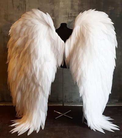 big white angel wings
