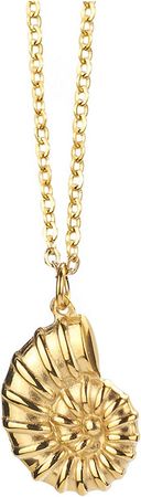 Amazon.com: Winssigma 18K Gold Stainless Steel Bee Honeycomb Necklace, Star Moon Necklace Dinosaur Necklace spider Necklace Adjustable Y Lariat Necklace for Women(Gold Conch): Clothing, Shoes & Jewelry