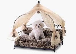 dog bed - Google Search
