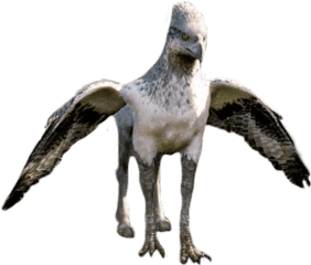 harry potter creatures transparent - hippogriff