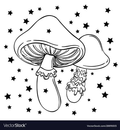 Magic mushrooms psychedelic hallucination Vector Image