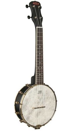 banjo instruments