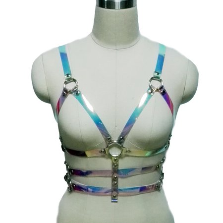 holographic harness