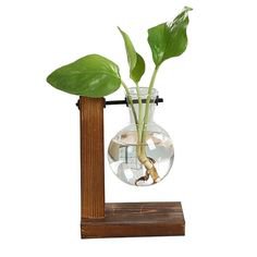 Terrarium Hydroponic Plant Vases - Type A - Guerilla home