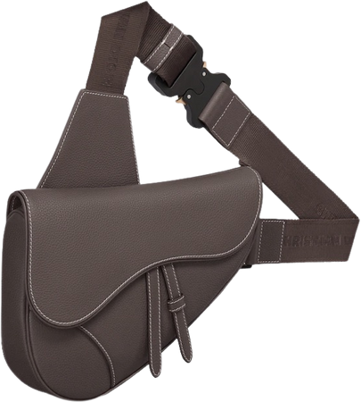 brown Dior saddle bag