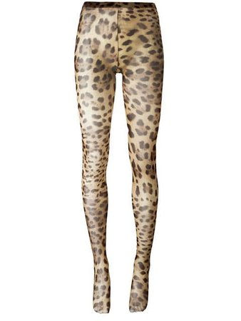 Dolce & Gabbana leopard print tights