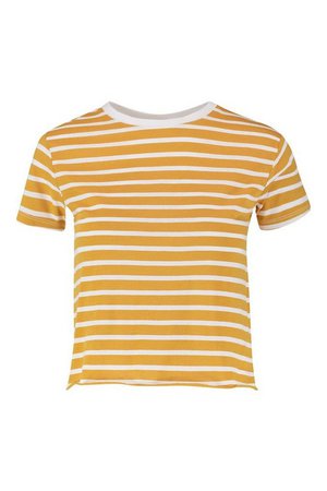 Petite Cotton Stripe Raw Hem Cropped T-Shirt | Boohoo