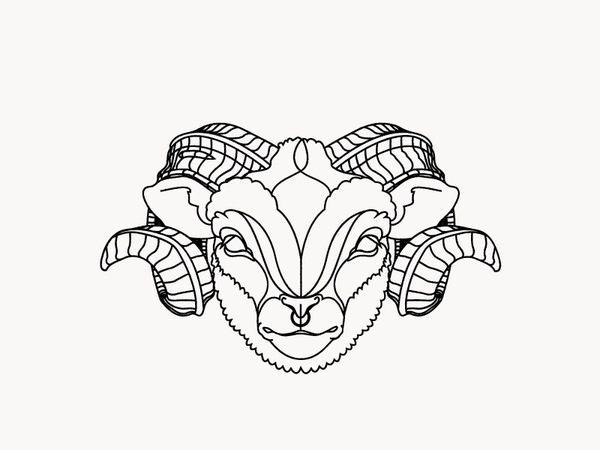 sheep tattoo