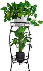 outdoor potted plants - Google Search