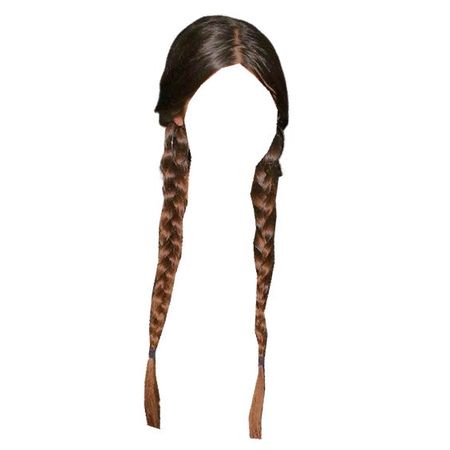 long brown hair two braids pigtails