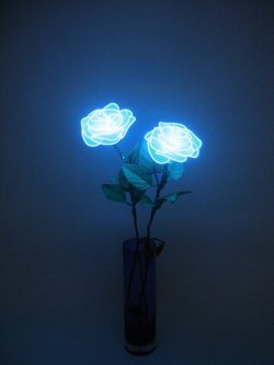 neon blue aesthetic - Google Search