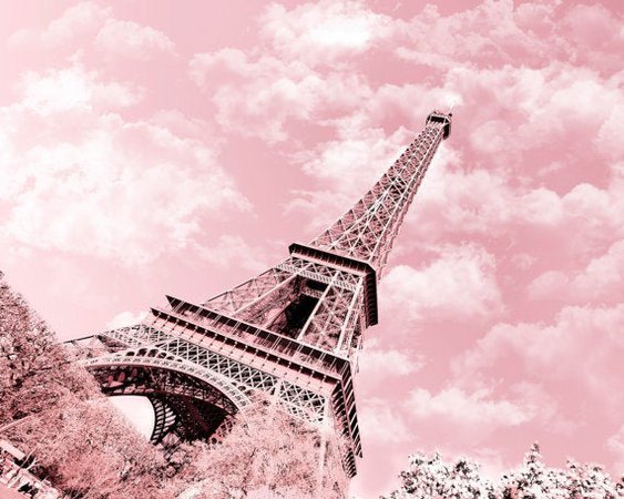﻿​​﻿​pink in paris - Google Search