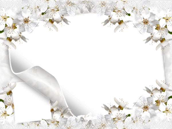 White Flower Frame PNG Picture - peoplepng.com | peoplepng.com