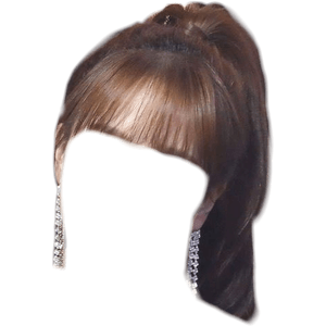 brown hair png ponytail